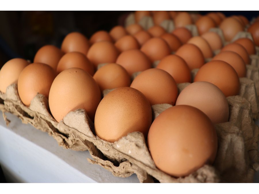 Farm Fresh Egg Tray