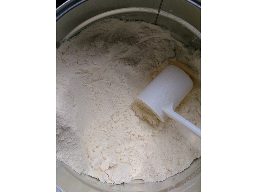 Bear Brand Powdered Milk 300g